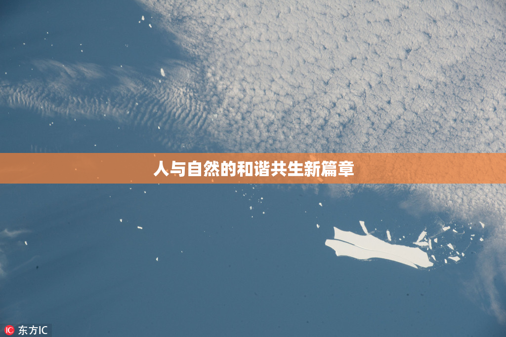 人与自然的和谐共生新篇章