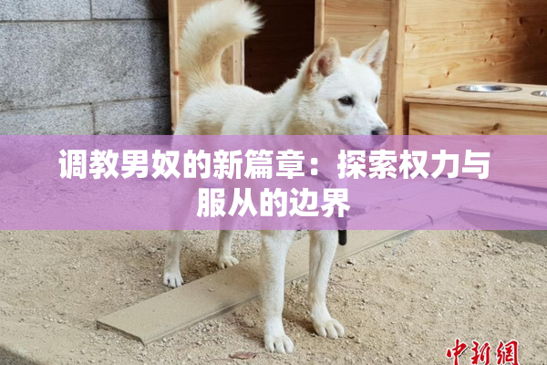 调教男奴的新篇章：探索权力与服从的边界