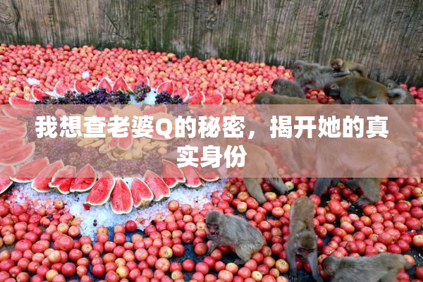 我想查老婆Q的秘密，揭开她的真实身份