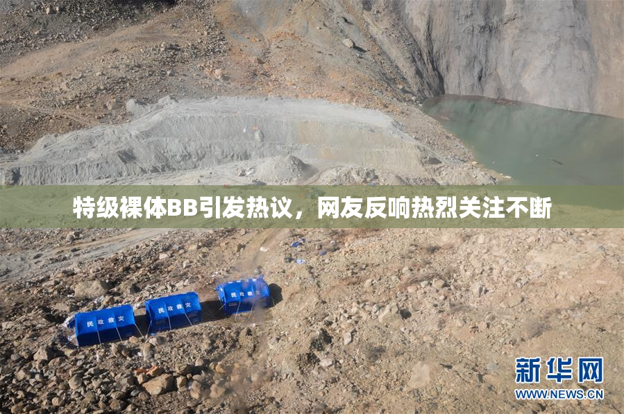 特级裸体BB引发热议，网友反响热烈关注不断