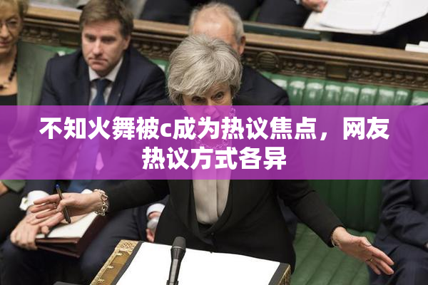 不知火舞被c成为热议焦点，网友热议方式各异