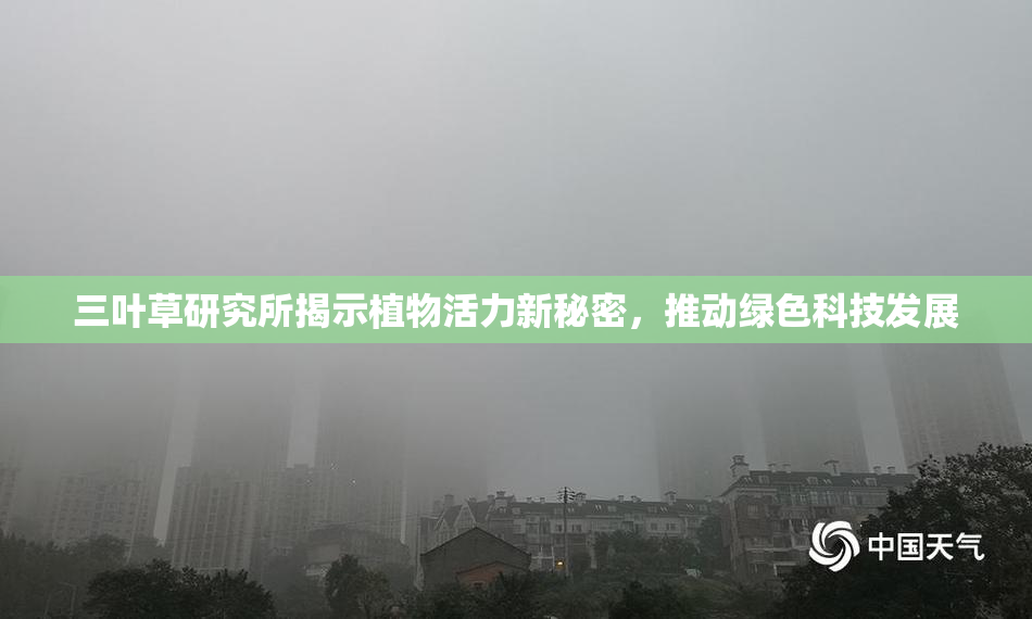三叶草研究所揭示植物活力新秘密，推动绿色科技发展