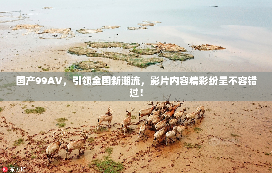 国产99AV，引领全国新潮流，影片内容精彩纷呈不容错过！