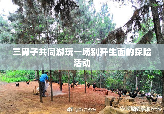 三男子共同游玩一场别开生面的探险活动