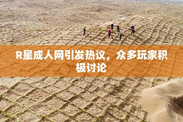R星成人网引发热议，众多玩家积极讨论