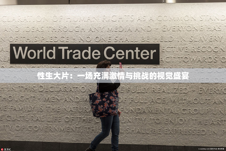 性生大片：一场充满激情与挑战的视觉盛宴