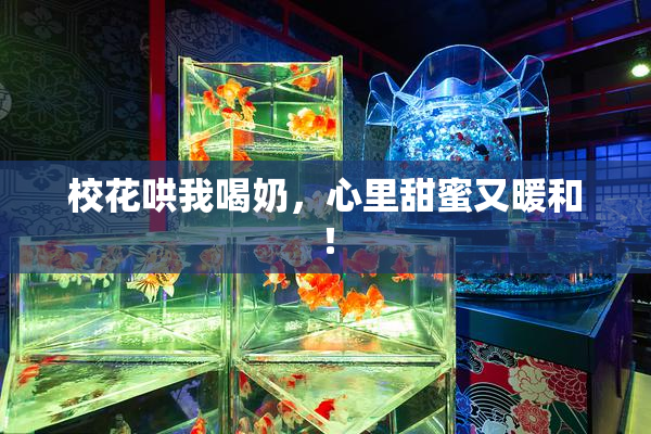 校花哄我喝奶，心里甜蜜又暖和！