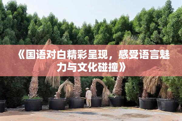 《国语对白精彩呈现，感受语言魅力与文化碰撞》