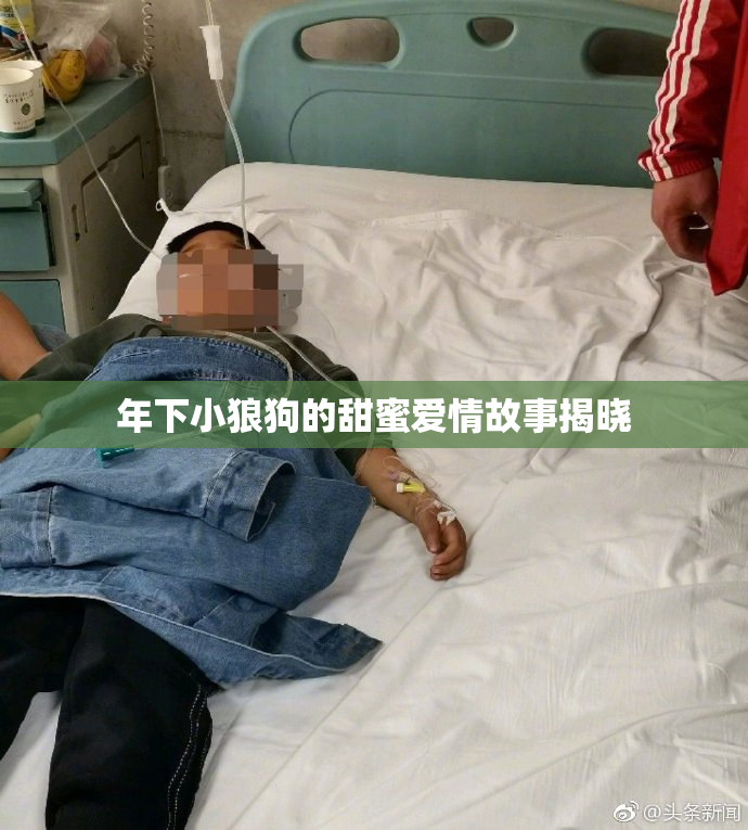 年下小狼狗的甜蜜爱情故事揭晓