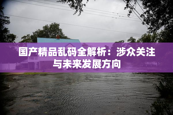 国产精品乱码全解析：涉众关注与未来发展方向