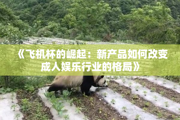 《飞机杯的崛起：新产品如何改变成人娱乐行业的格局》