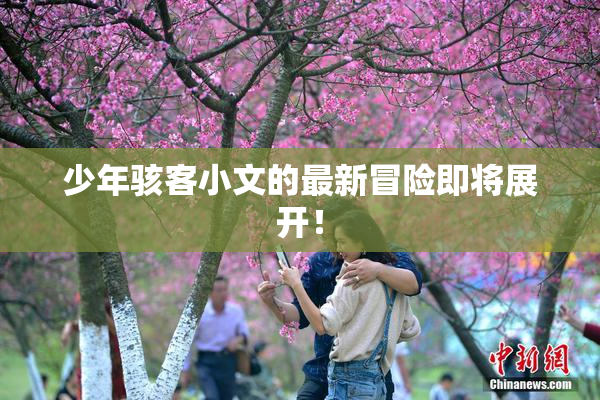 少年骇客小文的最新冒险即将展开！