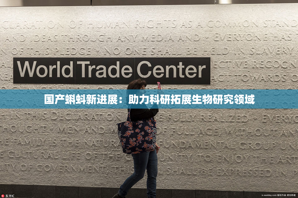 国产蝌蚪新进展：助力科研拓展生物研究领域