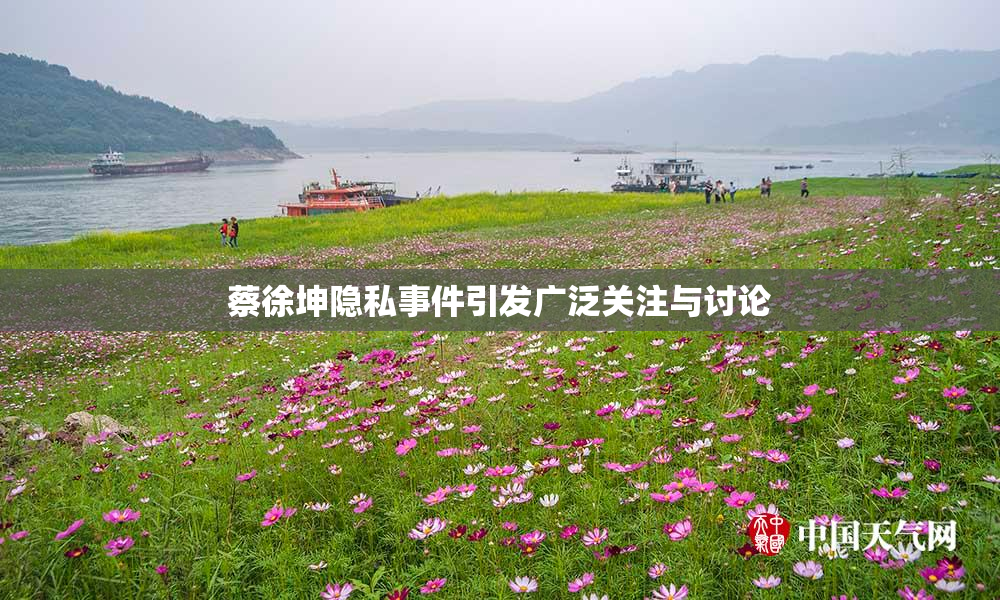 蔡徐坤隐私事件引发广泛关注与讨论