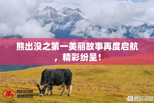 熊出没之第一美丽故事再度启航，精彩纷呈！