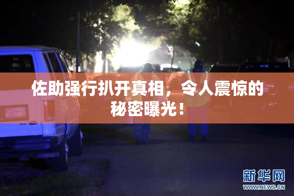 佐助强行扒开真相，令人震惊的秘密曝光！