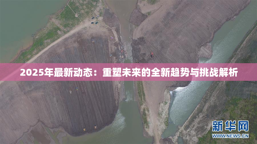 2025年最新动态：重塑未来的全新趋势与挑战解析