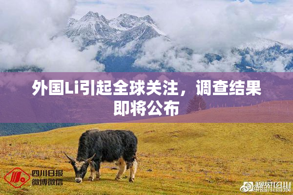 外国Li引起全球关注，调查结果即将公布