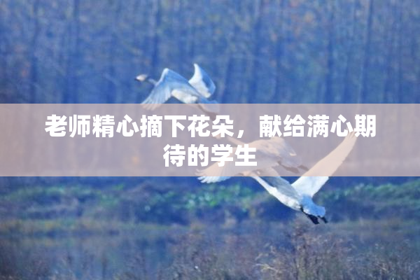 老师精心摘下花朵，献给满心期待的学生