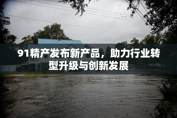 91精产发布新产品，助力行业转型升级与创新发展