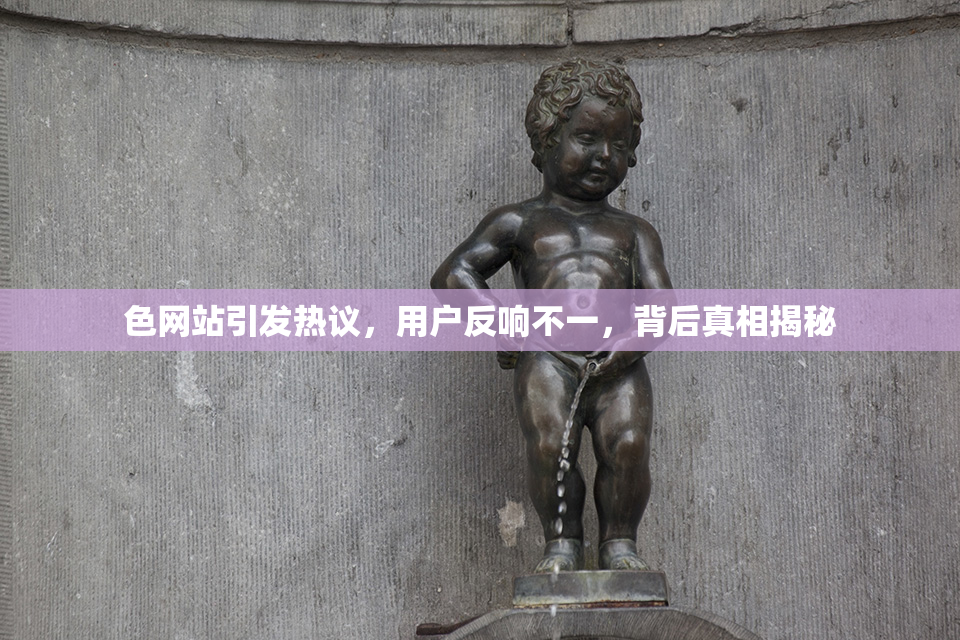 色网站引发热议，用户反响不一，背后真相揭秘