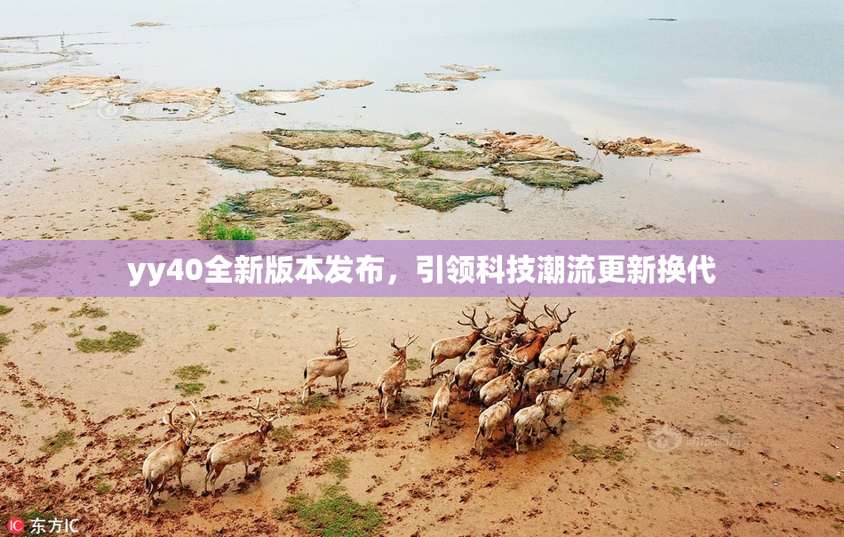 yy40全新版本发布，引领科技潮流更新换代