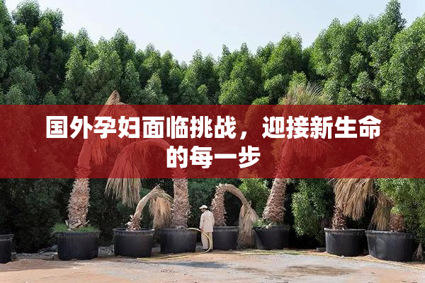 国外孕妇面临挑战，迎接新生命的每一步