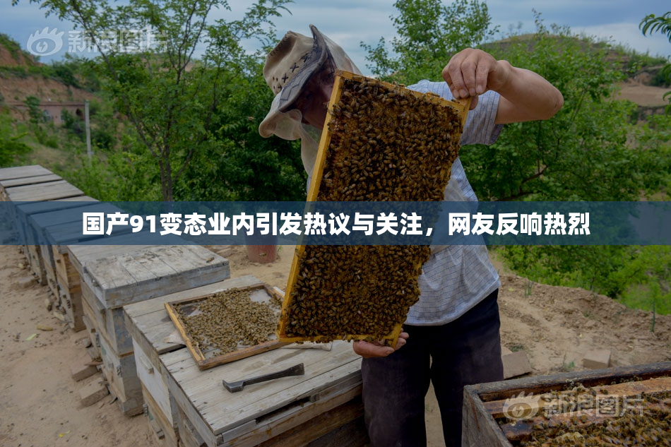 国产91变态业内引发热议与关注，网友反响热烈