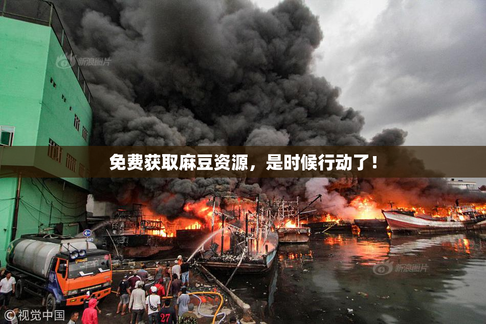 免费获取麻豆资源，是时候行动了！