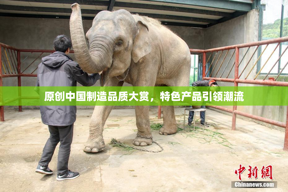 原创中国制造品质大赏，特色产品引领潮流