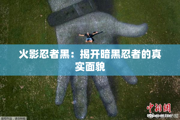 火影忍者黑：揭开暗黑忍者的真实面貌