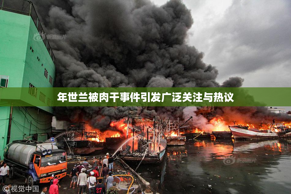 年世兰被肉干事件引发广泛关注与热议