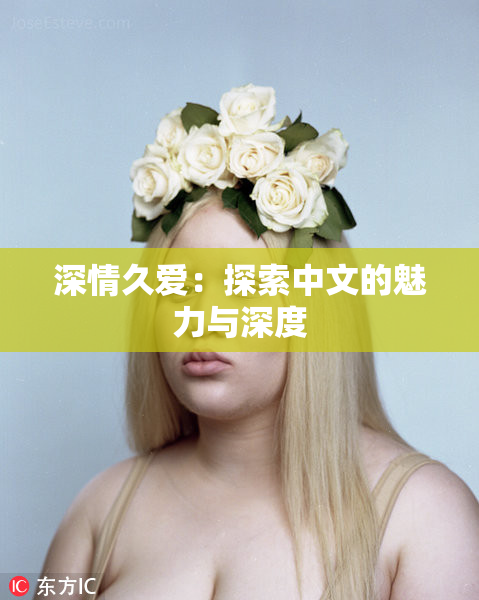 深情久爱：探索中文的魅力与深度