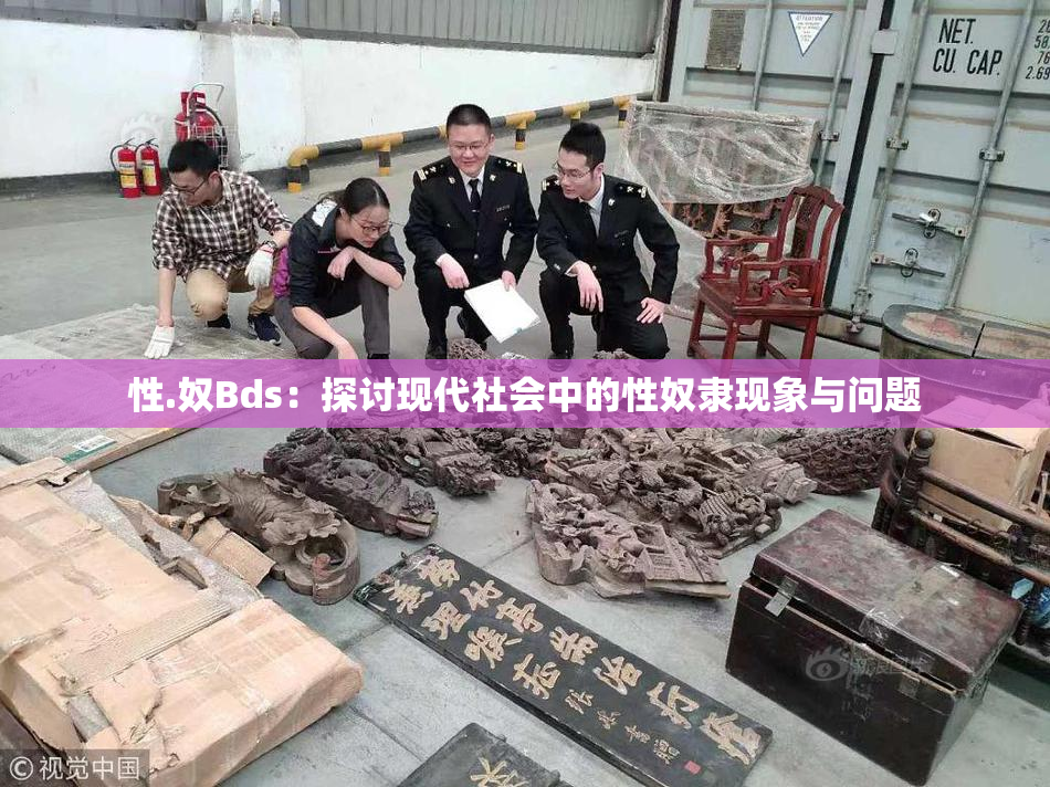 性.奴Bds：探讨现代社会中的性奴隶现象与问题