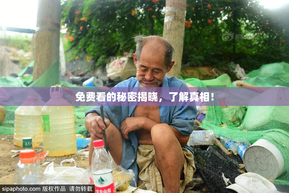免费看的秘密揭晓，了解真相！