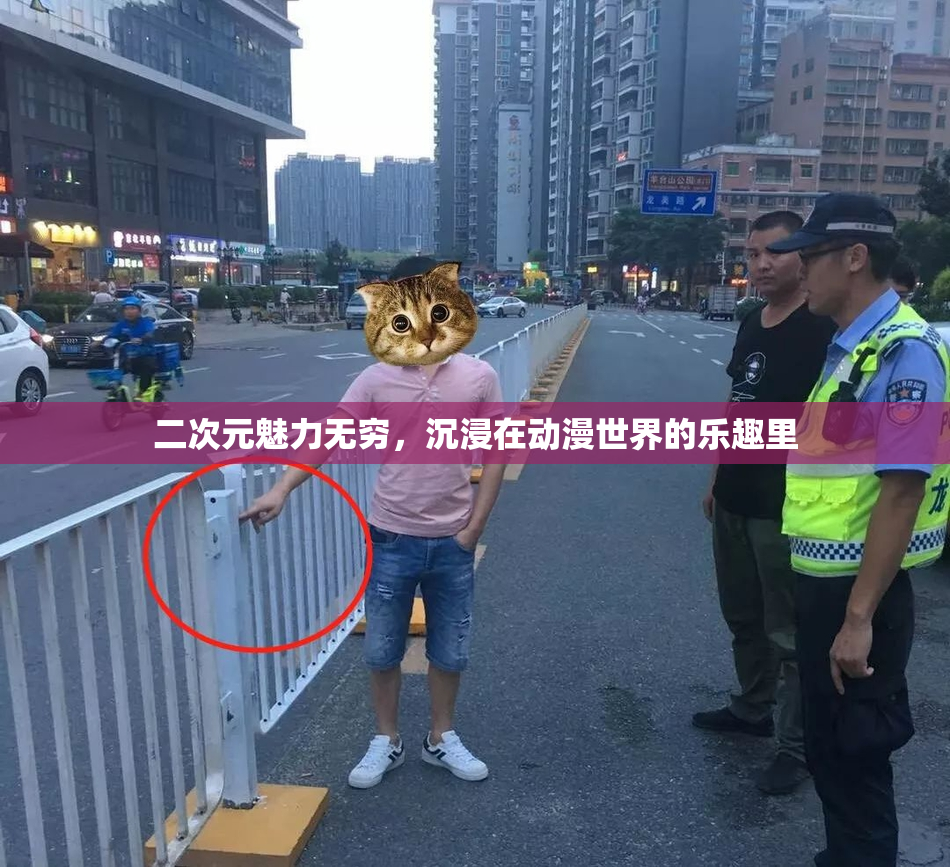 二次元魅力无穷，沉浸在动漫世界的乐趣里
