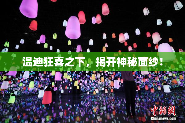 温迪狂喜之下，揭开神秘面纱！