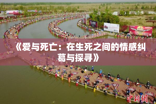 《爱与死亡：在生死之间的情感纠葛与探寻》