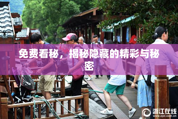 免费看秘，揭秘隐藏的精彩与秘密
