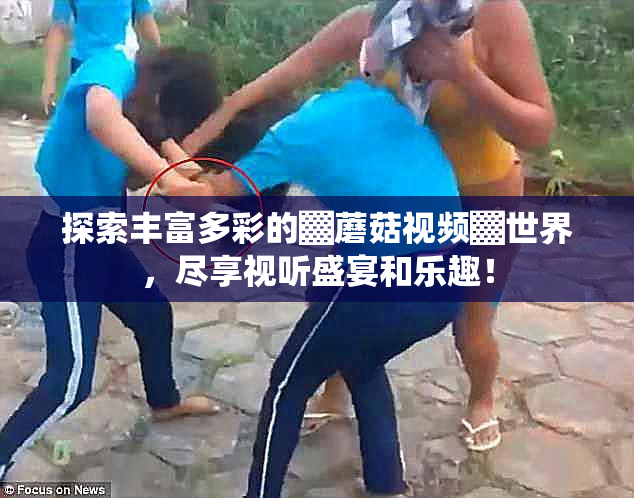 探索丰富多彩的▓蘑菇视频▓世界，尽享视听盛宴和乐趣！