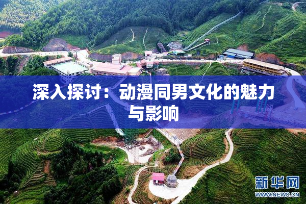 深入探讨：动漫同男文化的魅力与影响
