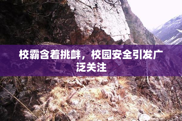 校霸含着挑衅，校园安全引发广泛关注