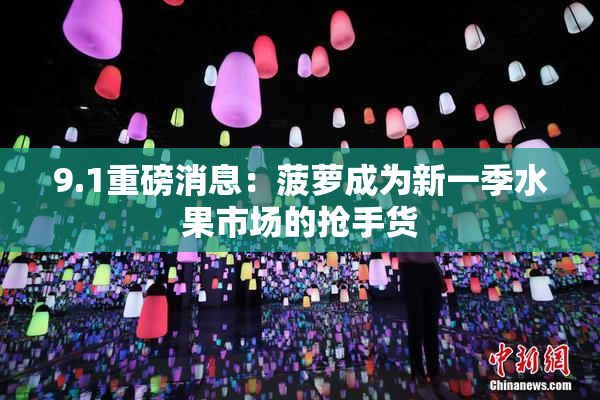 9.1重磅消息：菠萝成为新一季水果市场的抢手货