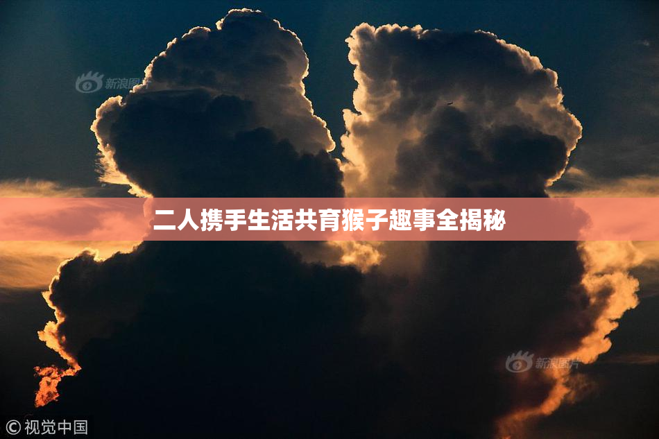 二人携手生活共育猴子趣事全揭秘