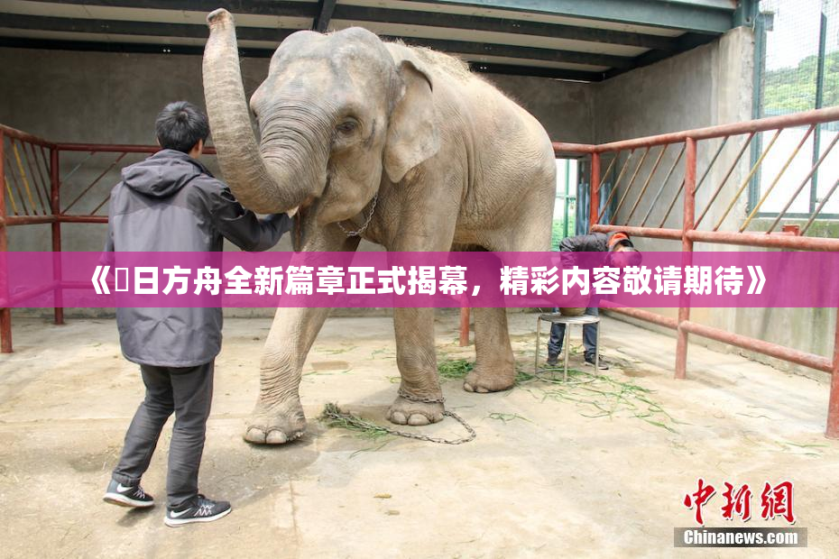 《眀日方舟全新篇章正式揭幕，精彩内容敬请期待》