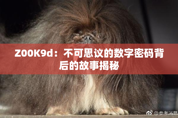 Z00K9d：不可思议的数字密码背后的故事揭秘