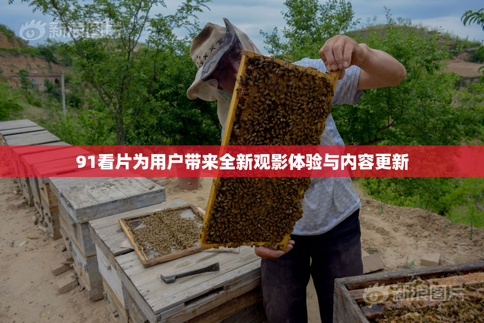 91看片为用户带来全新观影体验与内容更新