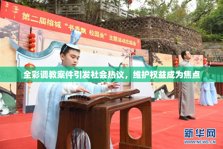 全彩调教案件引发社会热议，维护权益成为焦点