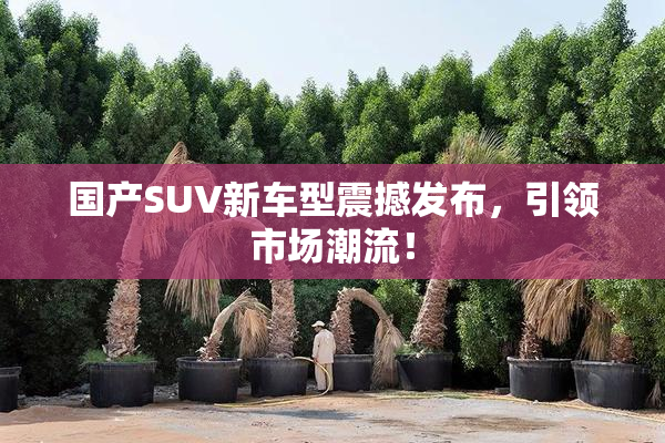国产SUV新车型震撼发布，引领市场潮流！