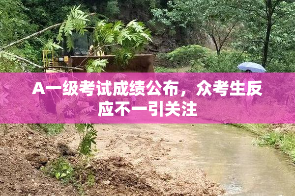 A一级考试成绩公布，众考生反应不一引关注